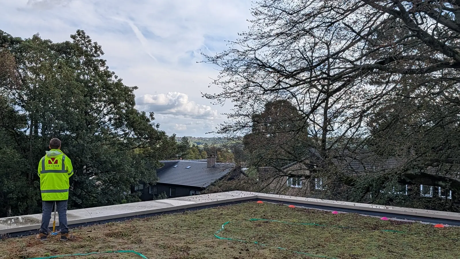 Buried leak location survey on a sedum green roof after rain: a Vector surveyor at the parapet with the measuring grid marked out across the planting