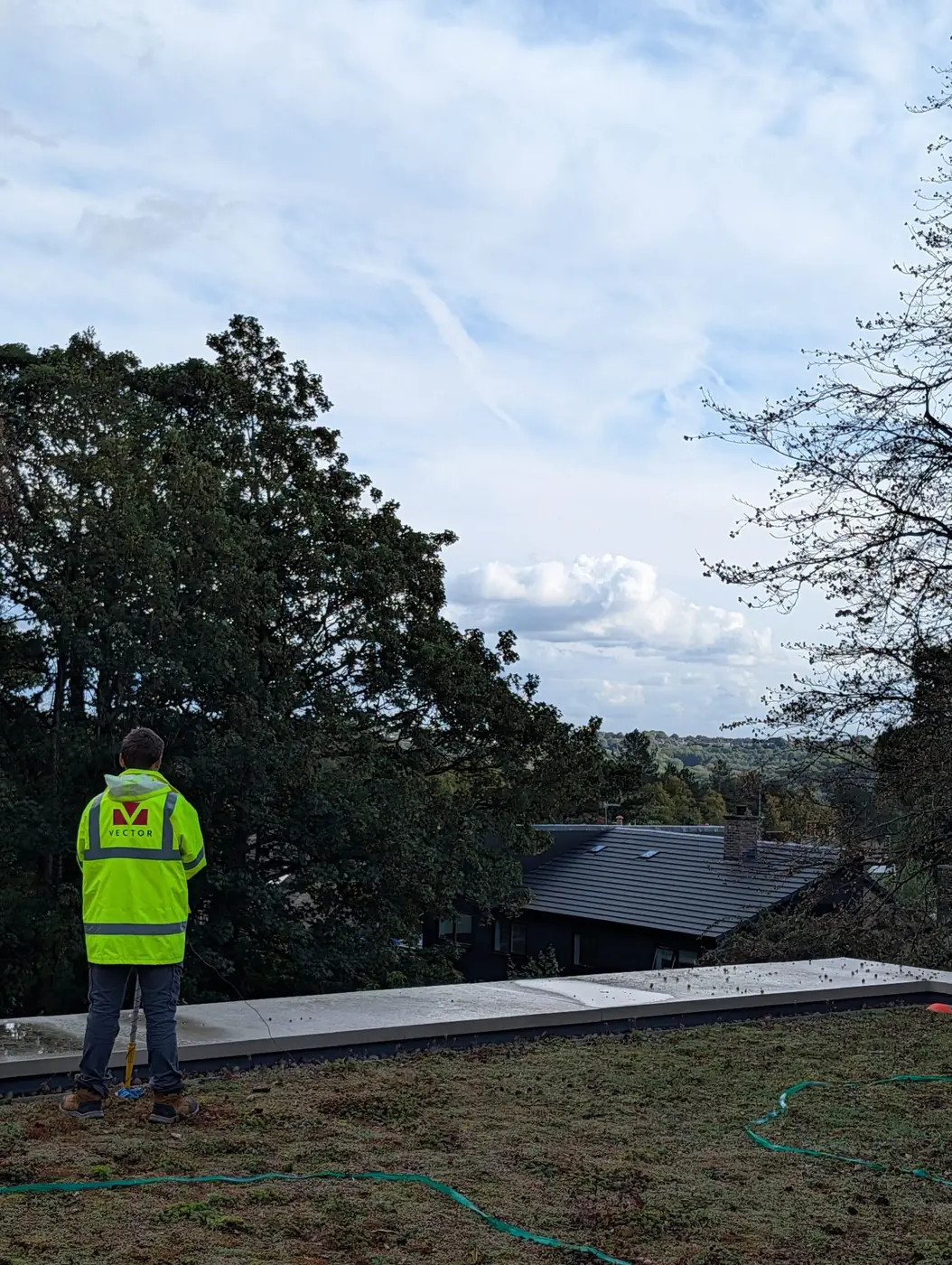 Buried leak location survey in progress on a green roof: Vector surveyor walking the measuring grid over the sedum with a survey probe, planting left in place