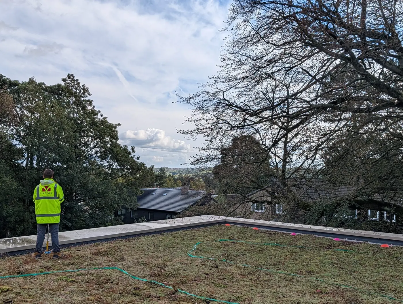 Buried leak location survey on a sedum green roof: measuring grid marked out with tape and cones across the planting, surveyor at the parapet, no substrate removed